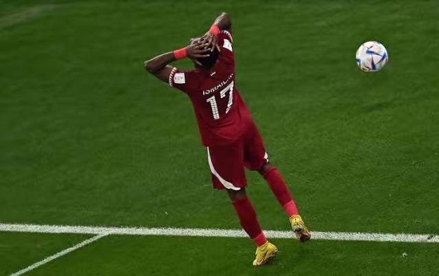 1669387046718094723.jpg IMG_4981.jpg